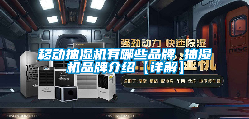 国产精品欧美激情视频 移动抽湿机有哪些品牌 抽湿机品牌介绍【详解】
