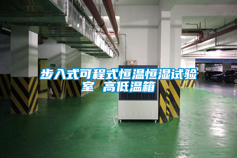 国产精品欧美激情视频 步入式可程式恒温恒湿试验室 高低温箱