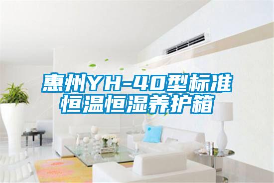 国产精品欧美激情视频 惠州YH-40型标准恒温恒湿养护箱