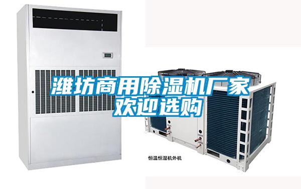 国产精品欧美激情视频 潍坊商用除湿机厂家 欢迎选购