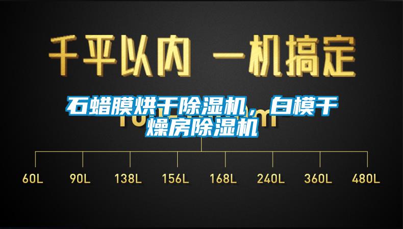 国产精品欧美激情视频 石蜡膜烘干除湿机，白模干燥房除湿机