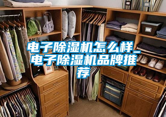 国产精品三级在线观看 电子除湿机怎么样_电子除湿机品牌推荐