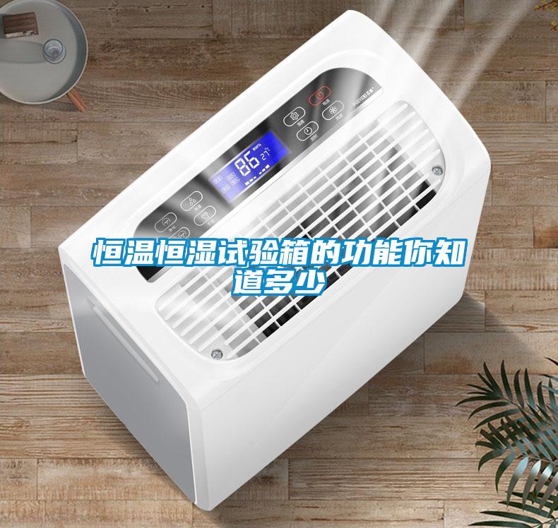国产精品三级在线观看 恒温恒湿试验箱的功能你知道多少