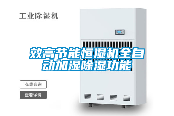 国产精品三级在线观看 效高节能恒湿机全自动加湿除湿功能
