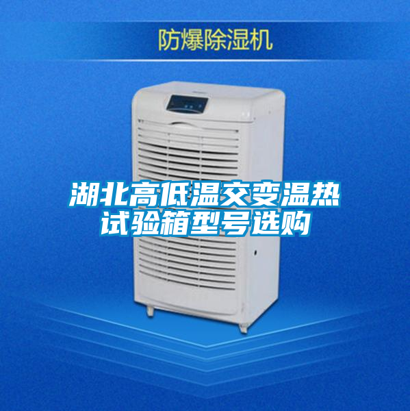 国产精品欧美激情视频 湖北高低温交变温热试验箱型号选购