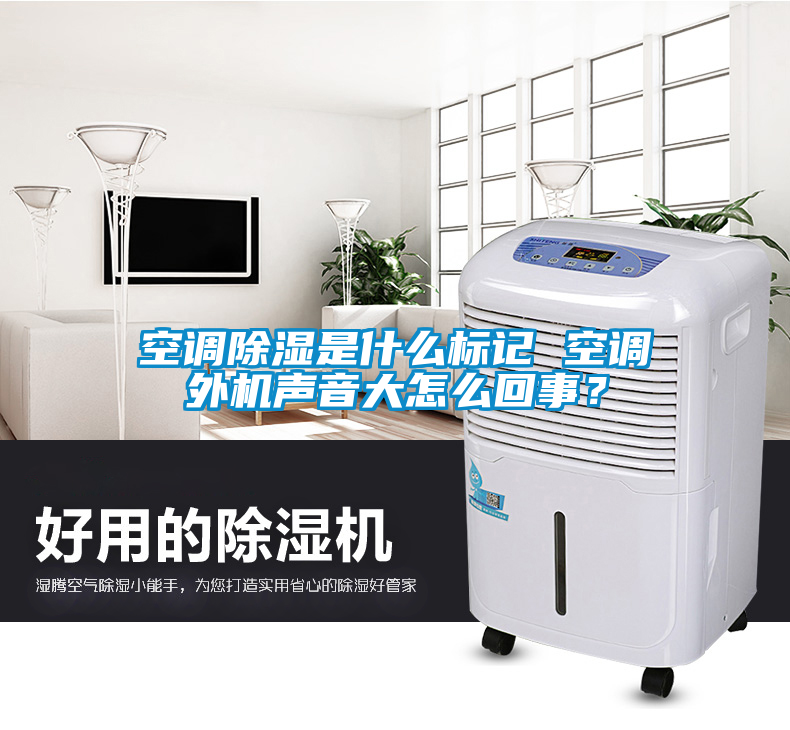 国产精品欧美激情视频 空调除湿是什么标记 空调外机声音大怎么回事？