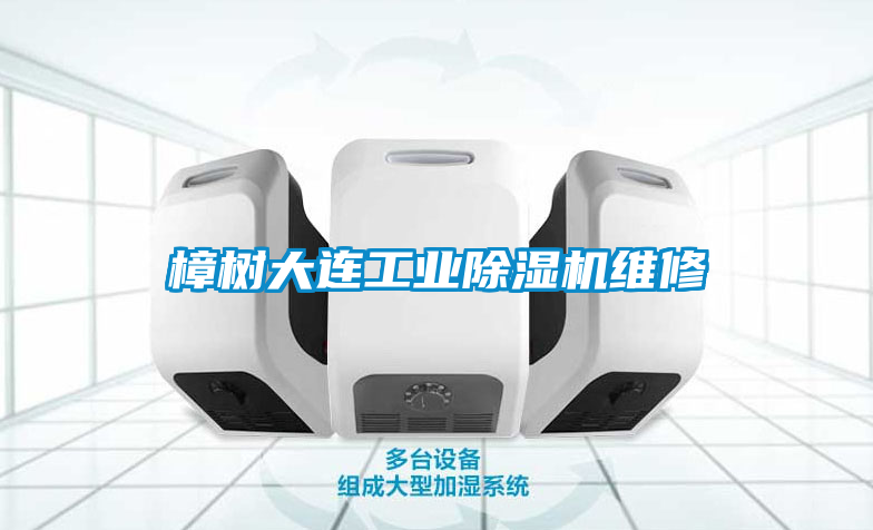 国产精品探花在线观看 樟树大连工业除湿机维修