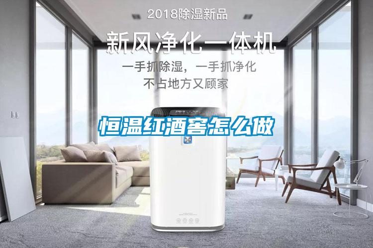国产精品探花在线观看 恒温红酒窖怎么做
