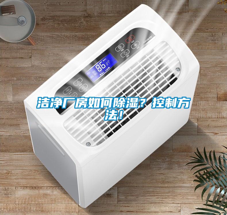 国产精品欧美激情视频 洁净厂房如何除湿？控制方法！
