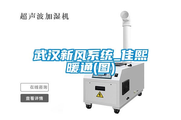 国产精品欧美激情视频 武汉新风系统_佳熙暖通(图)