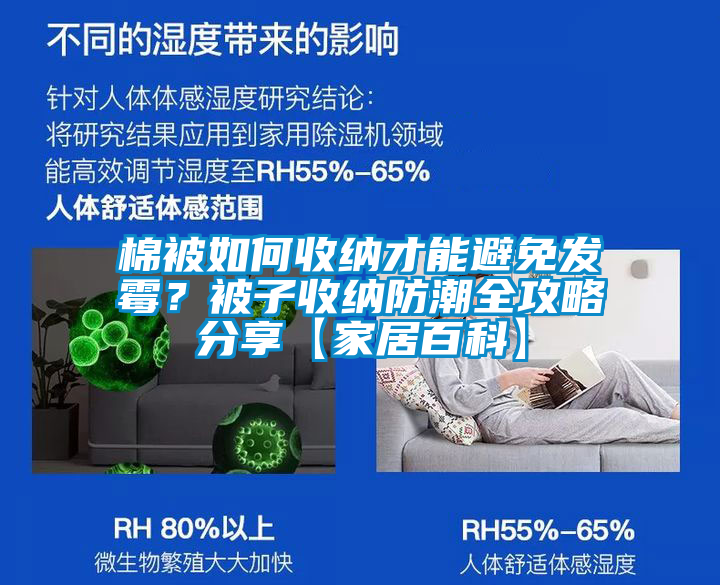 国产精品三级在线观看 棉被如何收纳才能避免发霉？被子收纳防潮全攻略分享【家居百科】