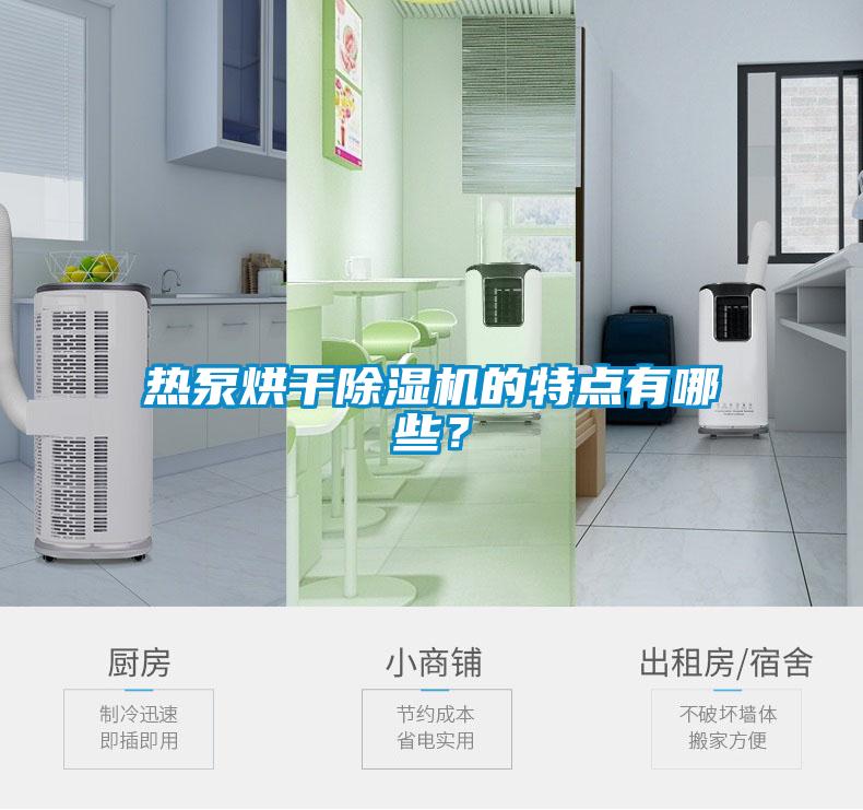国产精品欧美激情视频 热泵烘干除湿机的特点有哪些？