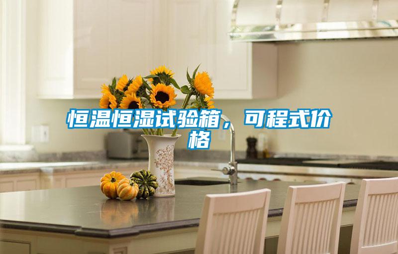 国产精品探花在线观看 恒温恒湿试验箱，可程式价格