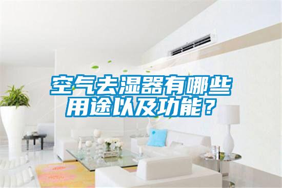 国产精品欧美激情视频 空气去湿器有哪些用途以及功能？