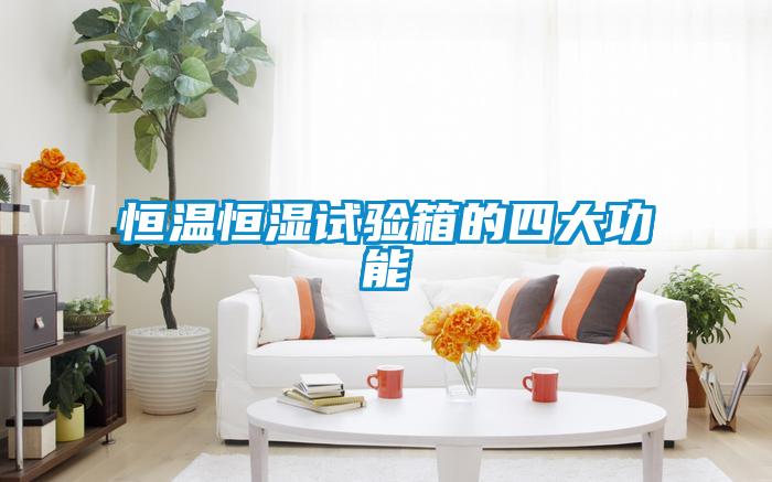 国产精品探花在线观看 恒温恒湿试验箱的四大功能