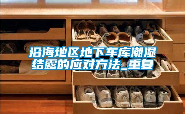 国产精品三级在线观看 沿海地区地下车库潮湿结露的应对方法_重复