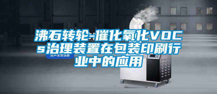 国产精品探花在线观看 沸石转轮-催化氧化VOCs治理装置在包装印刷行业中的应用