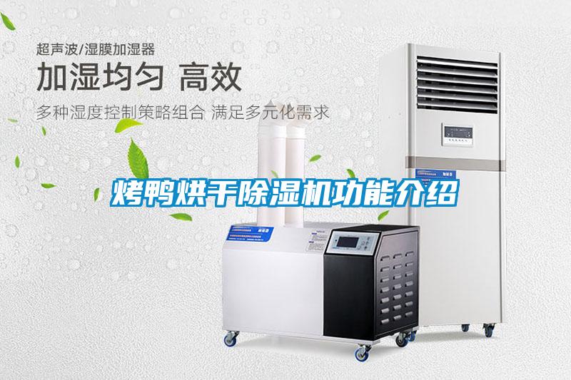 国产精品欧美激情视频 烤鸭烘干除湿机功能介绍