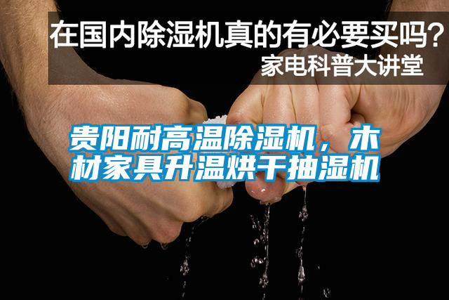 国产精品三级在线观看 贵阳耐高温除湿机，木材家具升温烘干抽湿机