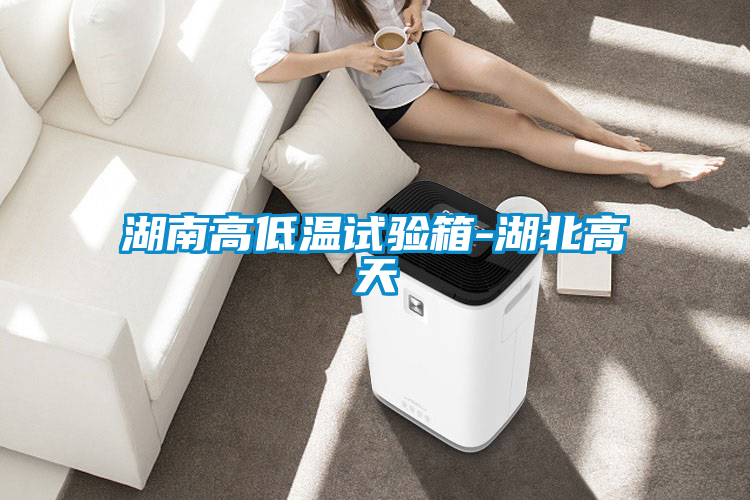 国产精品欧美激情视频 湖南高低温试验箱-湖北高天