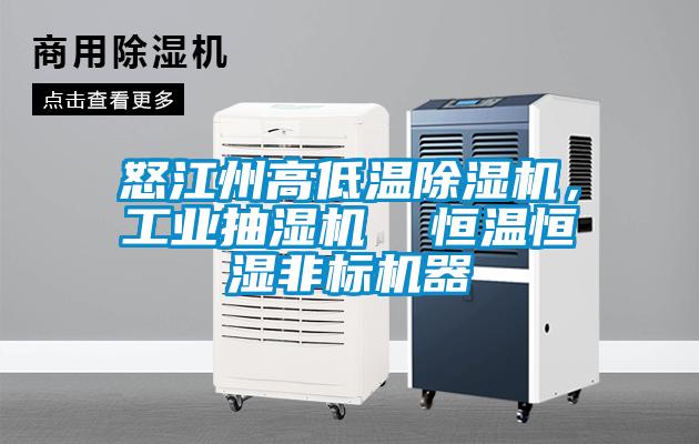 国产精品探花在线观看 怒江州高低温除湿机，工业抽湿机  恒温恒湿非标机器