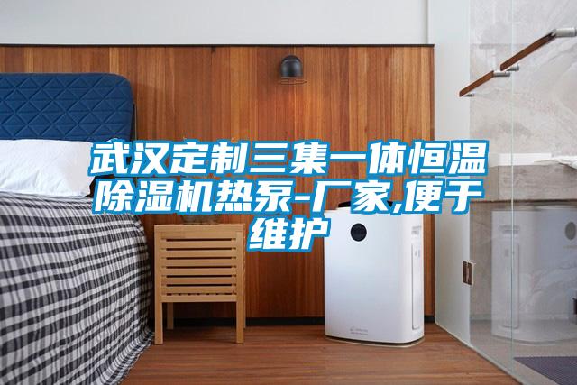 国产精品欧美激情视频 武汉定制三集一体恒温除湿机热泵-厂家,便于维护