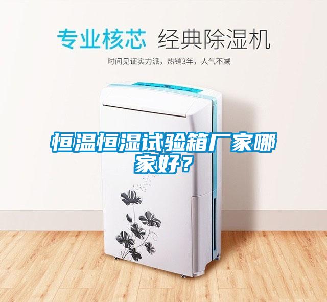 国产精品探花在线观看 恒温恒湿试验箱厂家哪家好？
