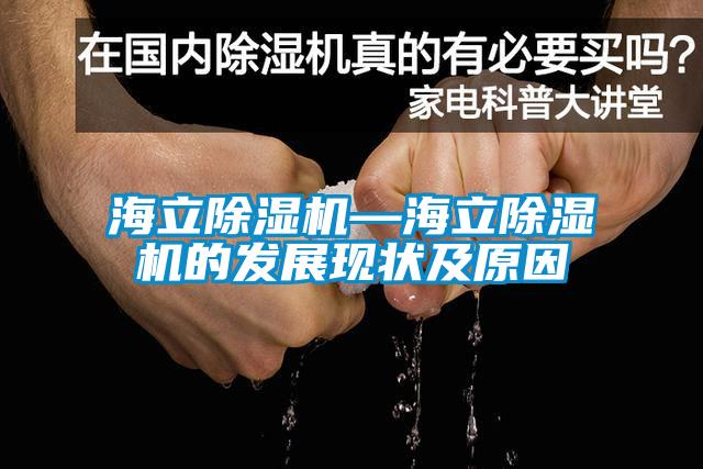 国产精品三级在线观看 海立除湿机—海立除湿机的发展现状及原因