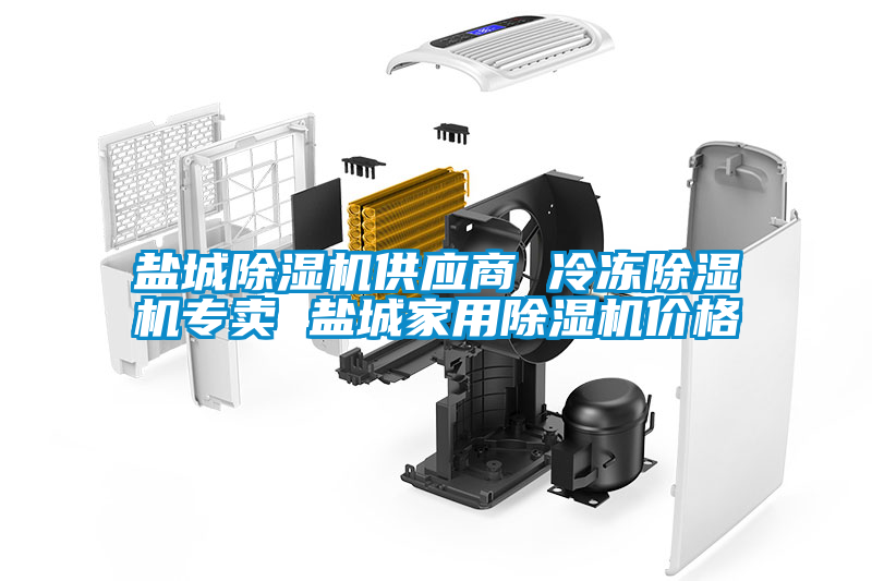 国产精品探花在线观看 盐城除湿机供应商 冷冻除湿机专卖 盐城家用除湿机价格