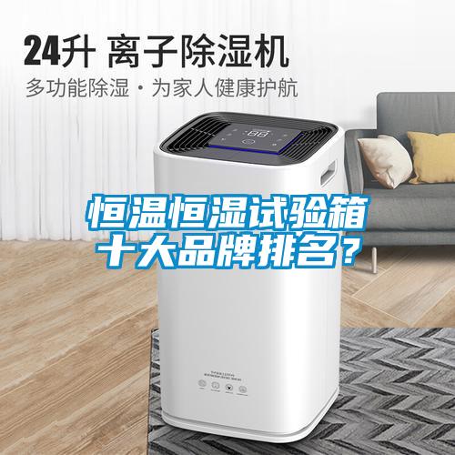国产精品探花在线观看 恒温恒湿试验箱十大品牌排名？