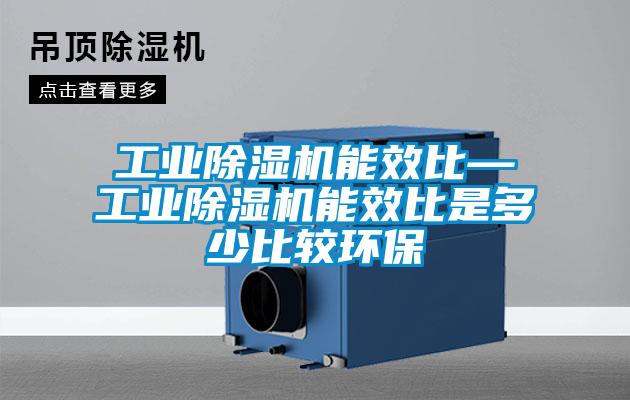 国产精品三级在线观看 工业除湿机能效比—工业除湿机能效比是多少比较环保