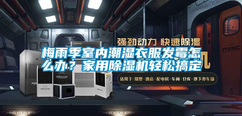 国产精品三级在线观看 梅雨季室内潮湿衣服发霉怎么办？家用除湿机轻松搞定