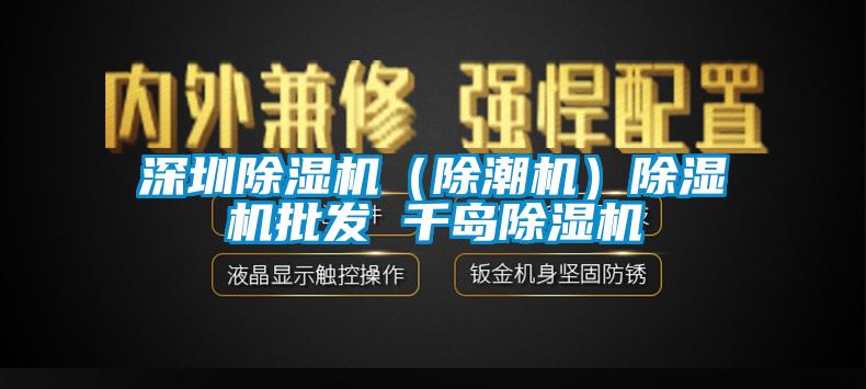 国产精品三级在线观看 深圳除湿机（除潮机）除湿机批发 千岛除湿机