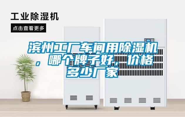 国产精品探花在线观看 滨州工厂车间用除湿机，哪个牌子好，价格多少厂家