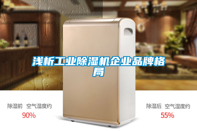 国产精品三级在线观看 浅析工业除湿机企业品牌格局