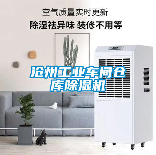 国产精品欧美激情视频 沧州工业车间仓库除湿机