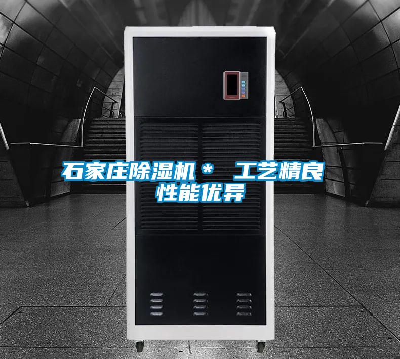 国产精品探花在线观看 石家庄除湿机＊ 工艺精良 性能优异