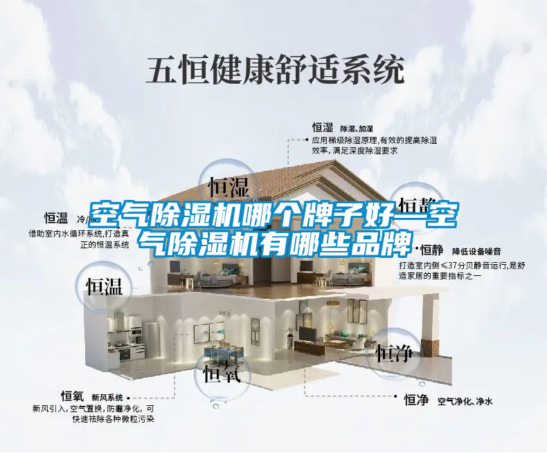 国产精品欧美激情视频 空气除湿机哪个牌子好—空气除湿机有哪些品牌