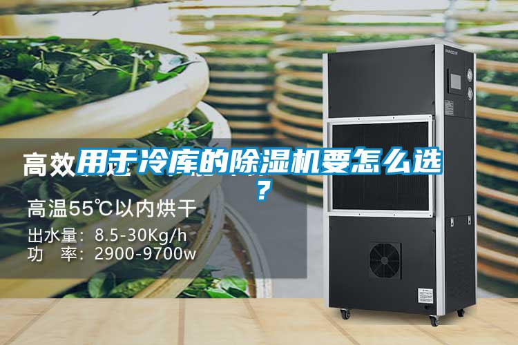 国产精品探花在线观看 用于冷库的除湿机要怎么选？