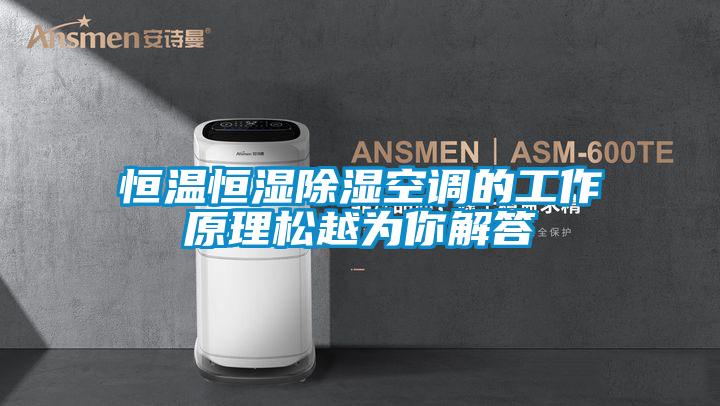 国产精品欧美激情视频 恒温恒湿除湿空调的工作原理松越为你解答