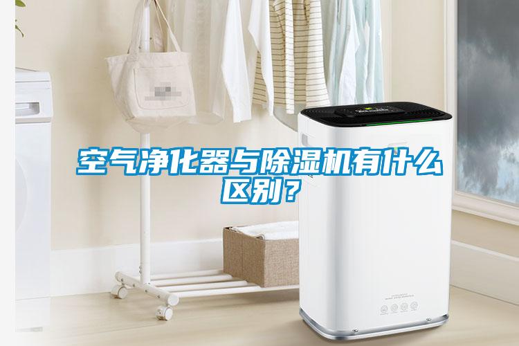 国产精品三级在线观看 空气净化器与除湿机有什么区别？
