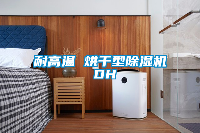 国产精品探花在线观看 耐高温 烘干型除湿机 DH