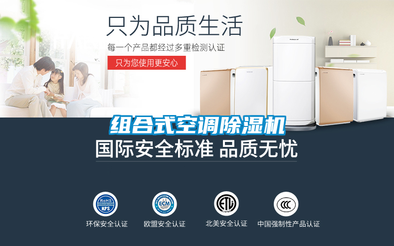 国产精品三级在线观看 组合式空调除湿机
