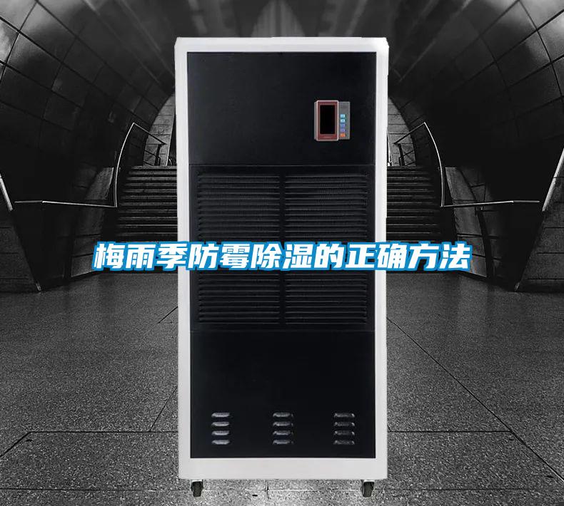 国产精品欧美激情视频 梅雨季防霉除湿的正确方法