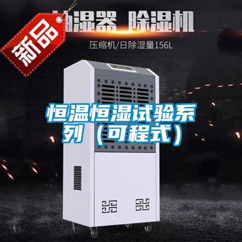 国产精品欧美激情视频 恒温恒湿试验系列（可程式）