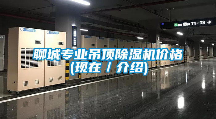 国产精品三级在线观看 聊城专业吊顶除湿机价格(现在／介绍)