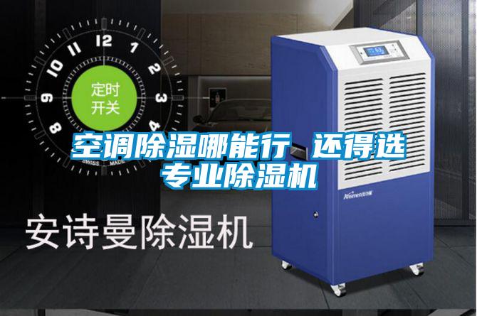 国产精品探花在线观看 空调除湿哪能行 还得选专业除湿机
