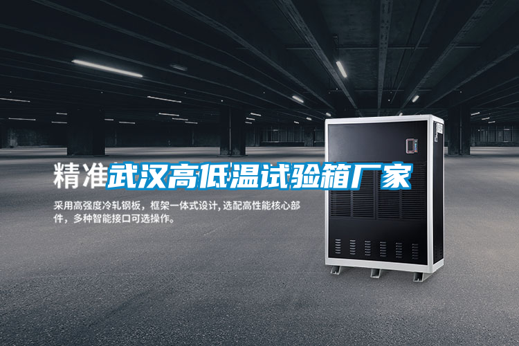 国产精品探花在线观看 武汉高低温试验箱厂家