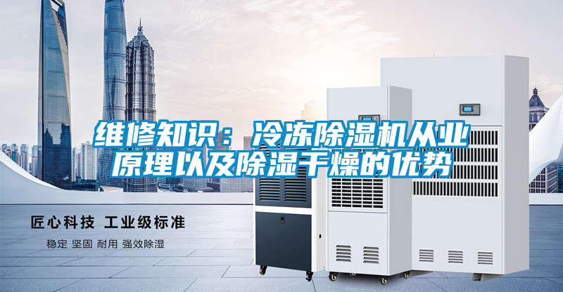 国产精品欧美激情视频 维修知识：冷冻除湿机从业原理以及除湿干燥的优势