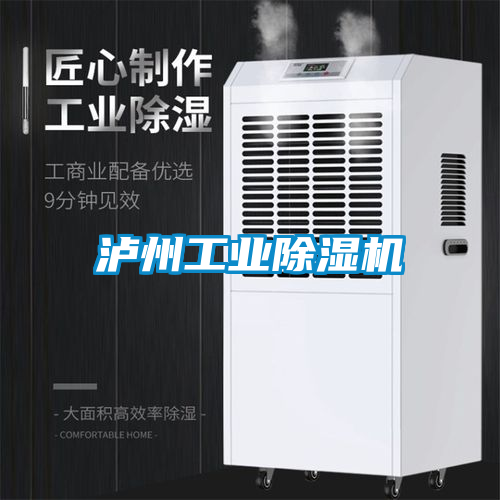 国产精品三级在线观看 泸州工业除湿机